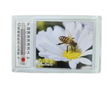 Bee Temp Magnet